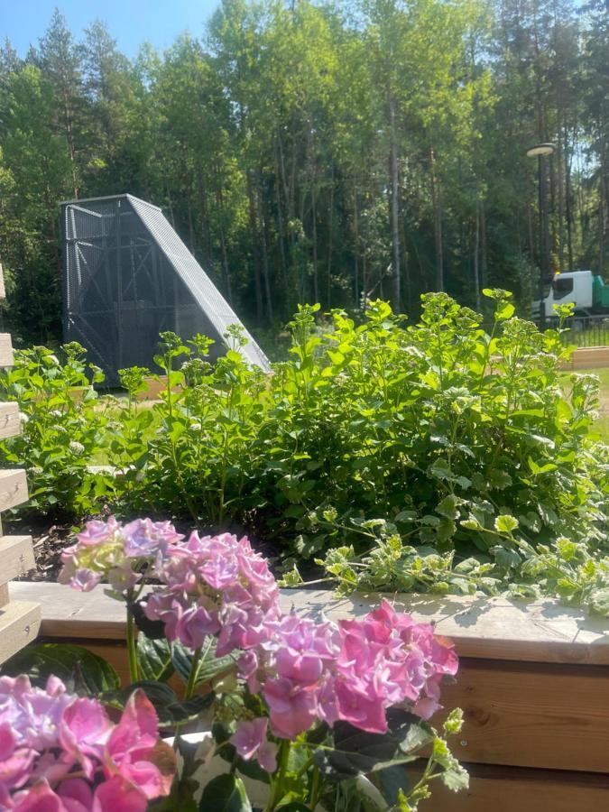 Haalia Homes Turku Paeaeskynpesae Buitenkant foto