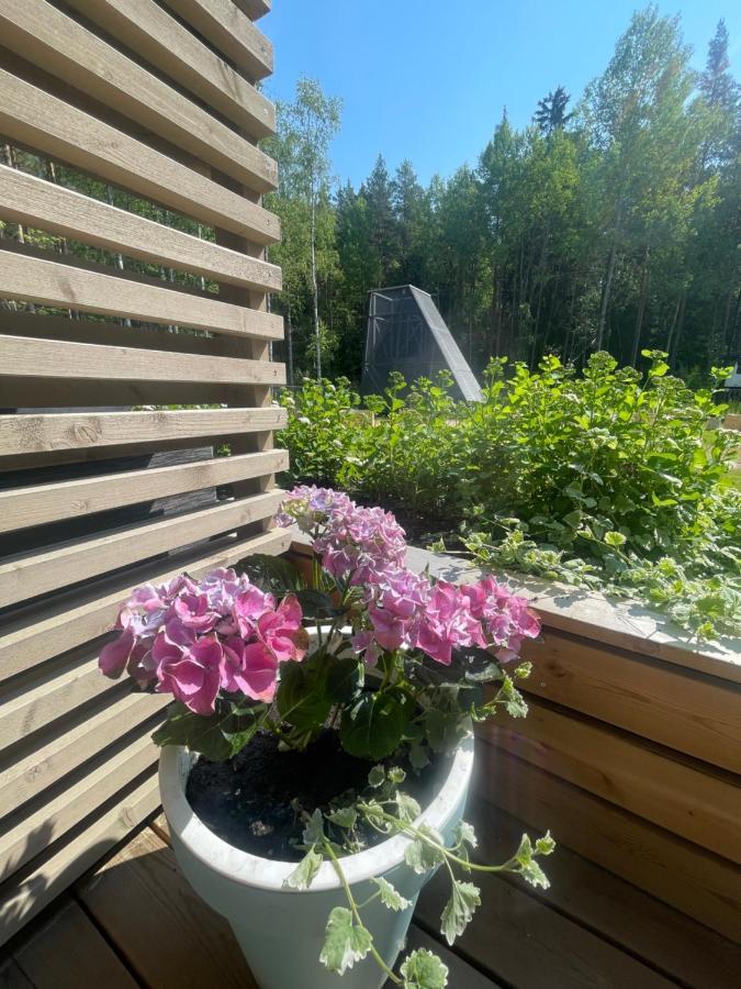 Haalia Homes Turku Paeaeskynpesae Buitenkant foto